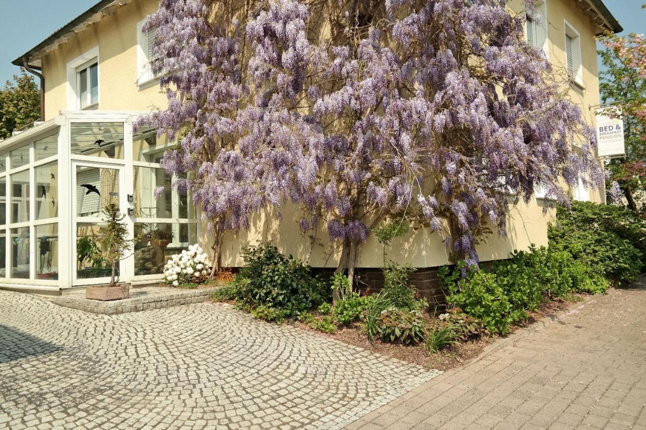 Pension Franzbaecker Warburg Buitenkant foto